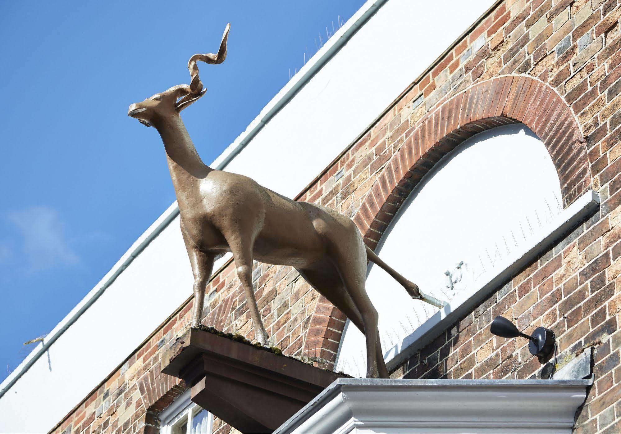 Antelope By Greene King Inns Poole Zewnętrze zdjęcie